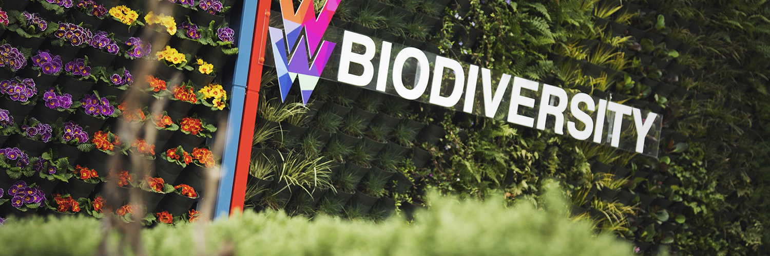 Green wall on Cockcroft Building with Biodiversity lettering