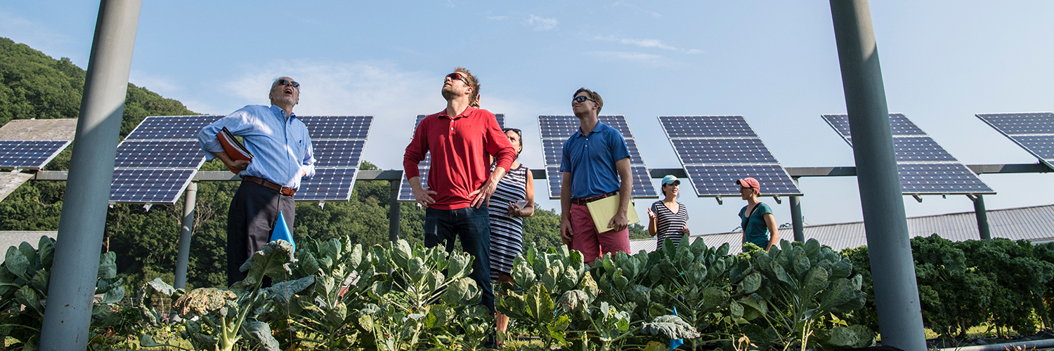 MSc Sustainability students in a solar panel field