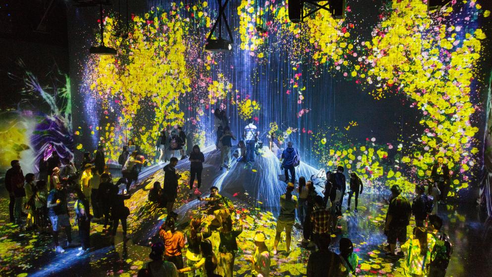 A light show attended by a crowd of people