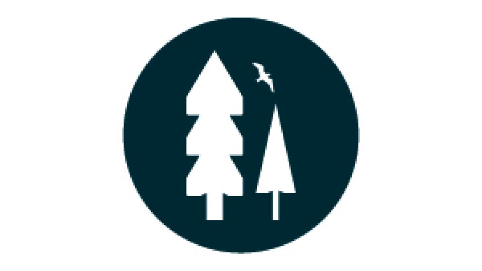Illustration representing trees