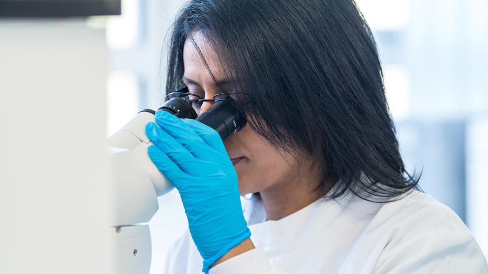 A science student looking into a microscope
