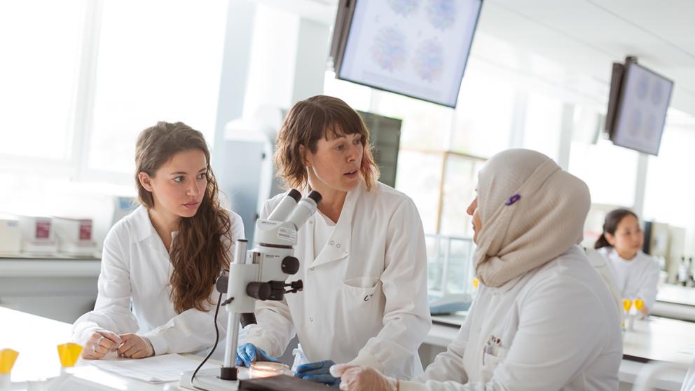 Chemistry students and tutor