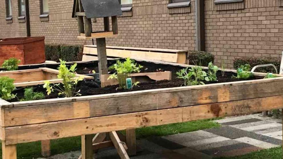 Community growing space with bird feeder