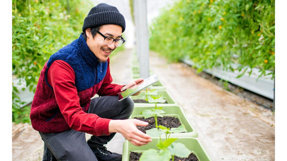 Geography degree student tending to plants