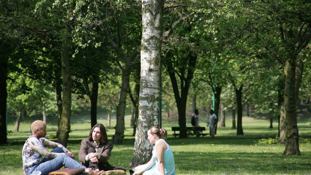Students Relaxing in Peel Park