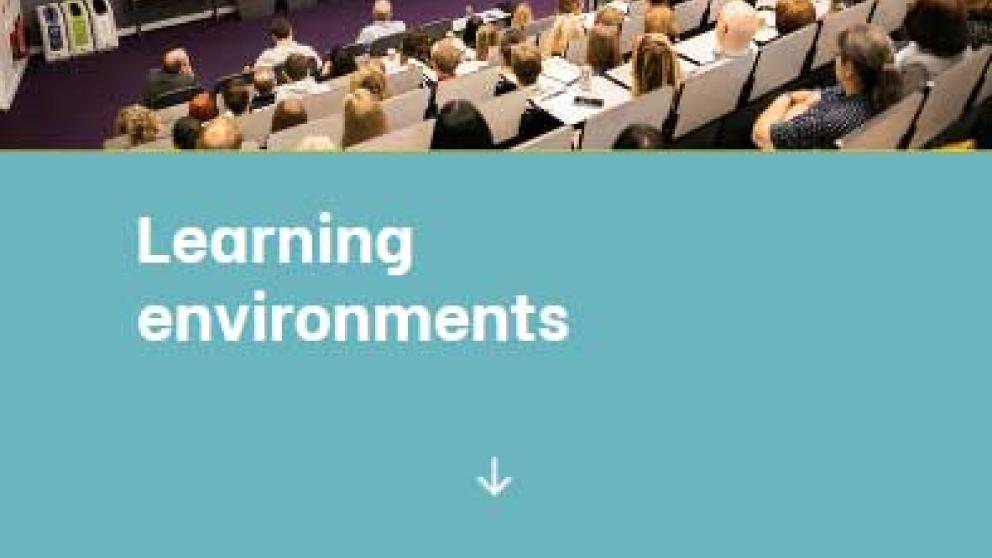 Screenshot from the eLearning resource Learning environments